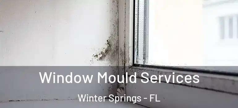  Window Mould Services Winter Springs - FL